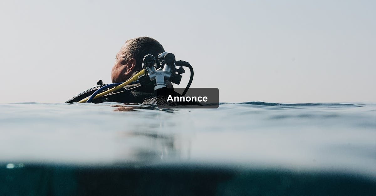 Læsning under ferien i Sydfrankrig: Fra stranden til poolkanten